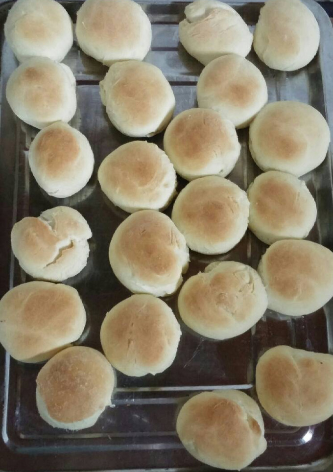 Una foto de Pancito básico!