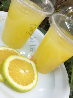 A picture of Citrus Drink.