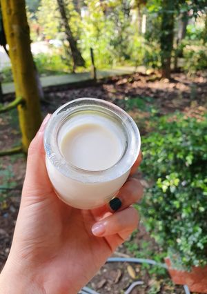 Hình của món Sữa chua nhà làm.