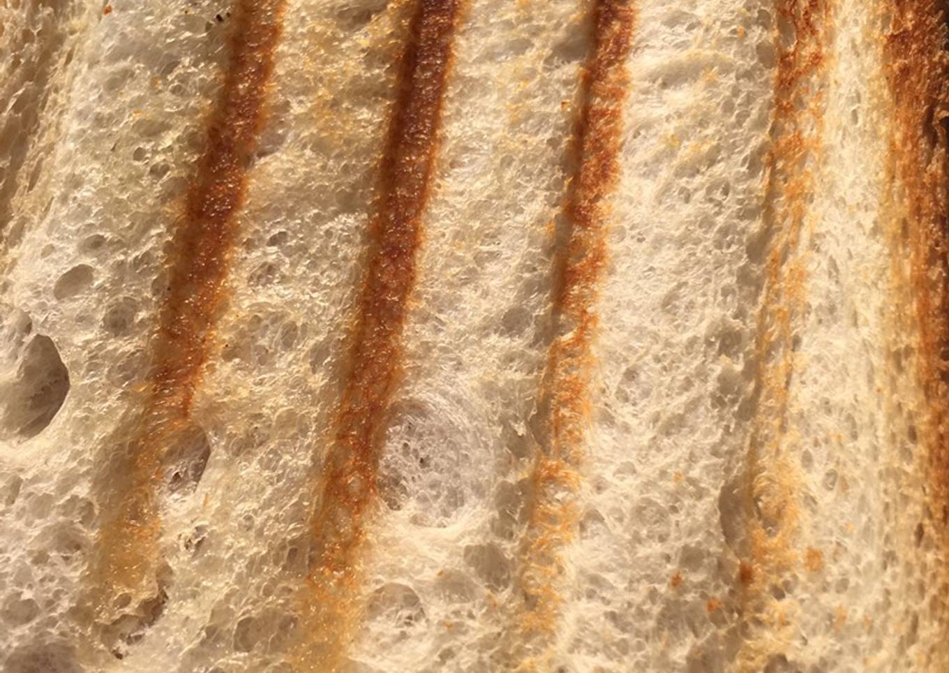 Recipe of Speedy Grill sandwich