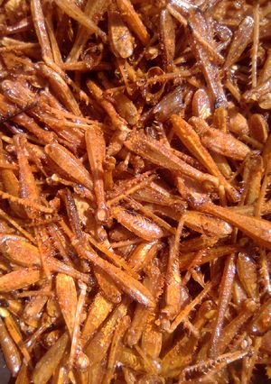 Qamboli ainihin hoton girkin