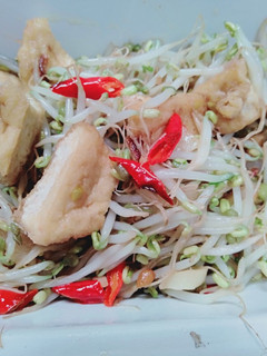 Foto resep Tumis toge n tahu