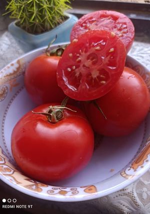 عکسی از دستور رب گوجه خانگی😍🍅
