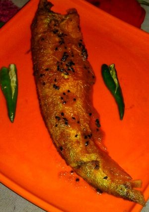 A picture of Pabda fish curry.