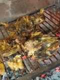 Pollo a la parrilla