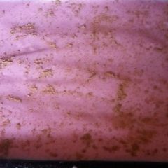 Pink No Bake MilkTart A picture of Pink No Bake MilkTart.