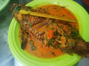 Gambar ikan kerapu woku