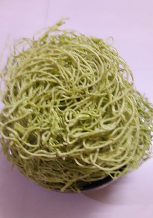 પાલક સેવ (Palak Sev Recipe In Gujarati) રેસીપી મુખ્ય ફોટો