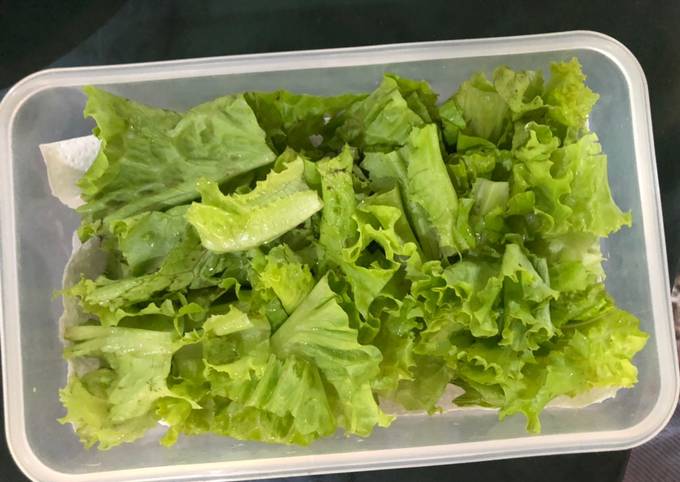 Cara Bikin Tips Menyimpan Selada Menu Enak Dan Mudah Dibuat
