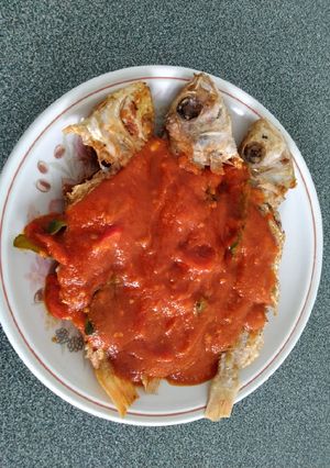 Foto resep Ikan Merah Saos Padang