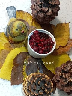 عکسی از دستور ترشک انار ، آلبالو، آلو 😛🤤😋