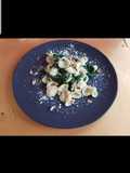 Orecchiette