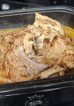 A picture of Thanksgiving Turkey.