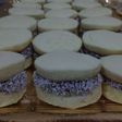 Alfajorcitos de maizena