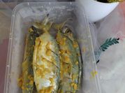 Gambar ikan kembung bumbu kuning goreng