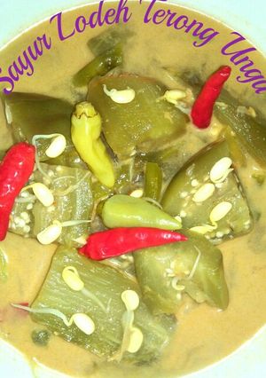 Foto resep Sayur Lodeh Terong Ungu 🍆🍆🍇