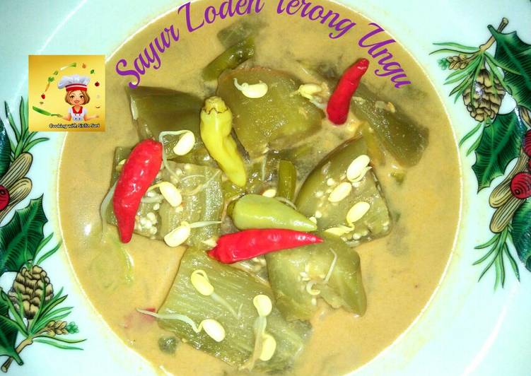 Cara Termudah Memasak Sayur Lodeh Terong Ungu Mudah Banget Resep Masakanku