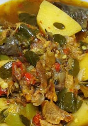 Faten Irish da zogale ainihin hoton girkin