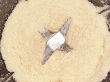 Harina de coco