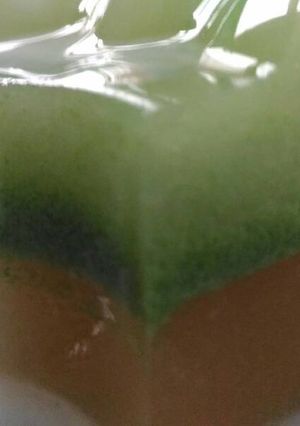 Foto resep Puding sayur