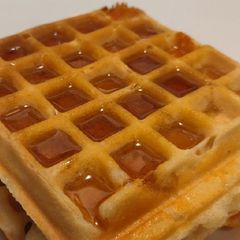 A picture of Waffles.