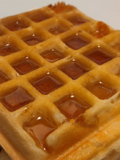 A picture of Waffles.