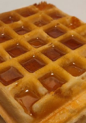 A picture of Waffles.