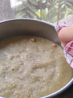 Foto resep Special Matcha Cake (Steamed)