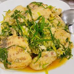 Steam barramundi fillets A picture of Steam barramundi fillets.