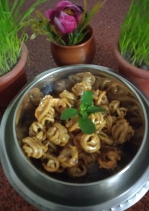 शिरलाडू (Shirladu recipe in marathi) रेसिपी चे मुख्य फोटो 