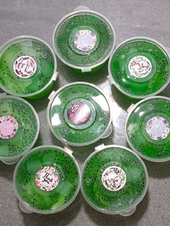 Foto resep Puding 🍈 Melon Kelapa Muda Sintetis