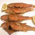 Salmonetes Fritos