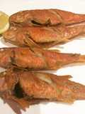 Salmonetes Fritos