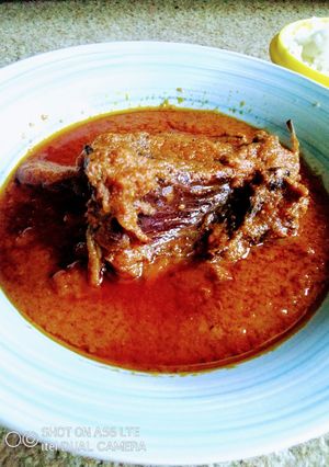 A picture of BushMeat Stew.
