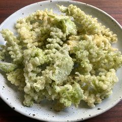 A picture of Shiso Flowers Tempura.