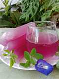 Es Lilin Kombucha Telang