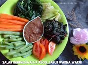 Gambar salad sayur bayam merah