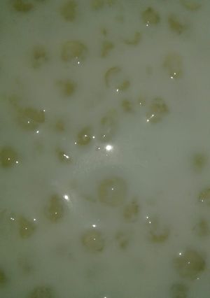 A picture of Sabudane ki kheer.