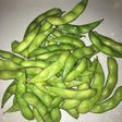 Edamame rebus