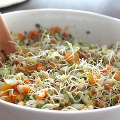 A picture of Sprout Salad.