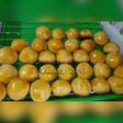 Nastar