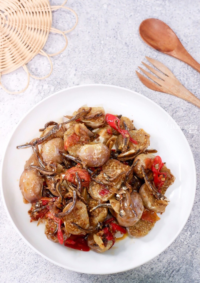 Foto resep Oseng Terong dan Teri