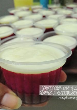 Foto resep Puding Buah Naga Susu Coklat