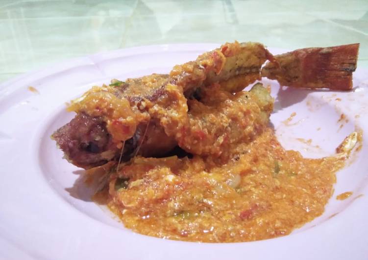 Ikan kerapu terbang Saus padang