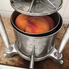 A picture of California Farm Peach Beer.