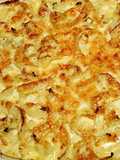 Fennel Gratin
