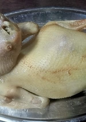 รูปของ ไก่บ้านไหว้เจ้า