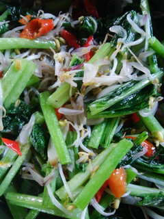 Foto resep Tumis Sawi Hijau Tauge