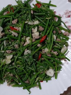 龍鬚菜炒絞肉 的食譜成品照片