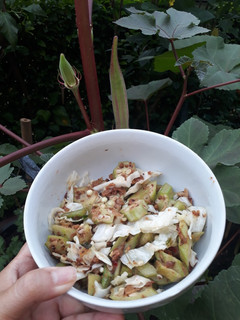 Foto resep OKE (Okra Kol Ebi) Tumis